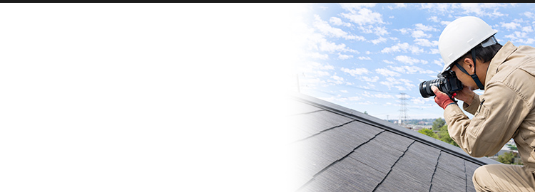 屋根の点検をするスタッフ