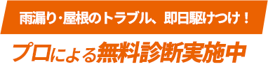 雨漏り・屋根のトラブル、即日駆けつけ！プロによる無料診断実施中