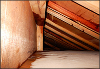 CAUTION 01｜骨組み（柱・梁）の腐食