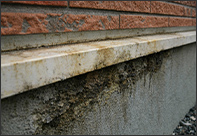 CAUTION 02｜土台への悪影響