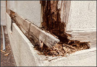 CAUTION 03｜シロアリ被害の誘発