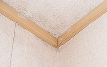 天井にシミや雨染みが広がっている様子