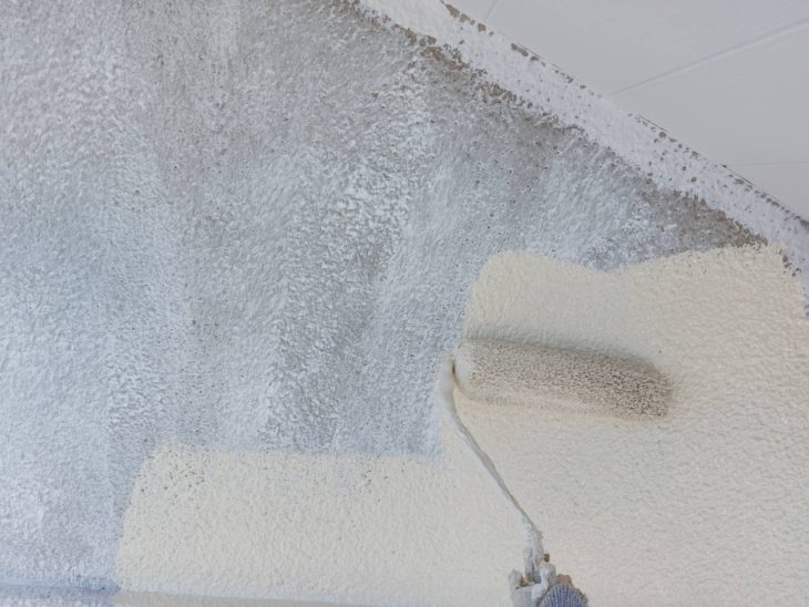 外装工事|静岡県三島市加茂O様邸