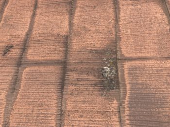 屋根カバー外壁、付帯部塗装工事｜静岡県函南町仁田N様邸