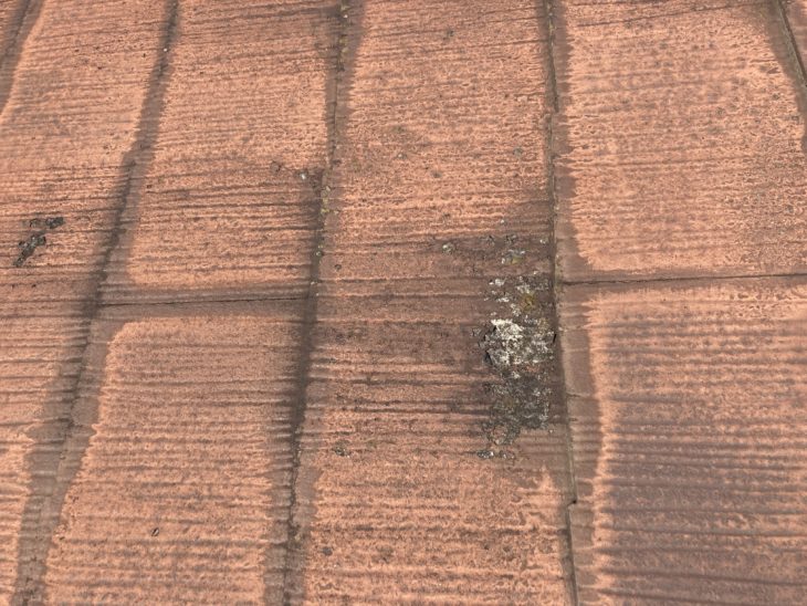 屋根カバー外壁、付帯部塗装工事|静岡県函南町仁田N様邸