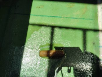 屋根外壁塗装工事｜伊豆の国市