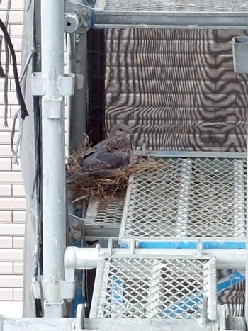 外壁塗装工事181万円（税込み）｜函南町仁田