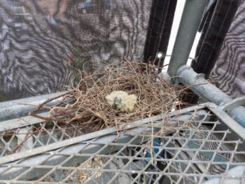 外壁塗装工事181万円（税込み）｜函南町仁田