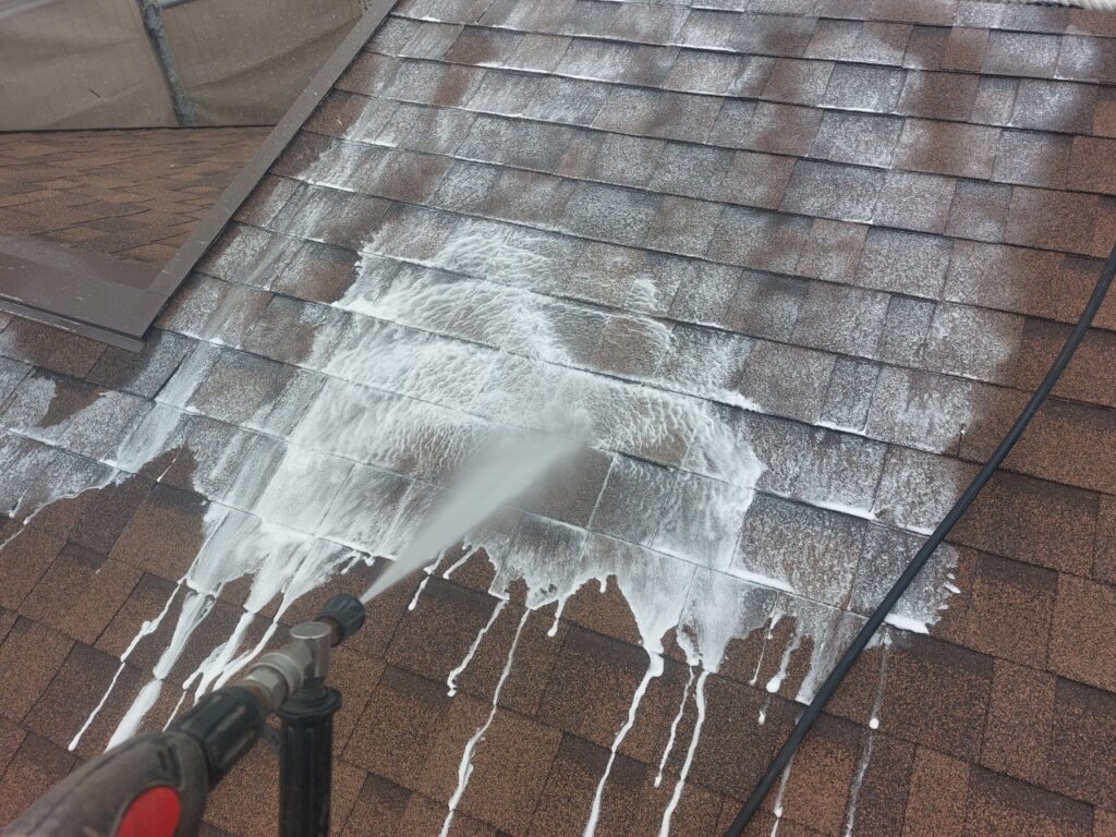 水養生のあとにバイオ洗浄を行い、汚れを浮かせます。