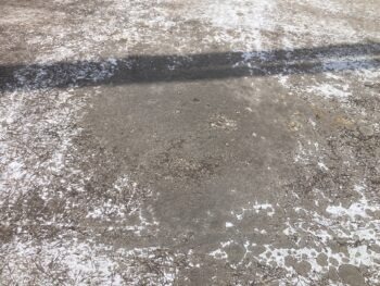 全体的に表面が剥げており、コケやカビも見えるため、補修と合わせて洗浄も行っていきます。