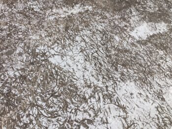 補修はしっかりとした技術を持っている職人のもと、施工を行います。